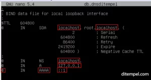 konfigurasi DNS server